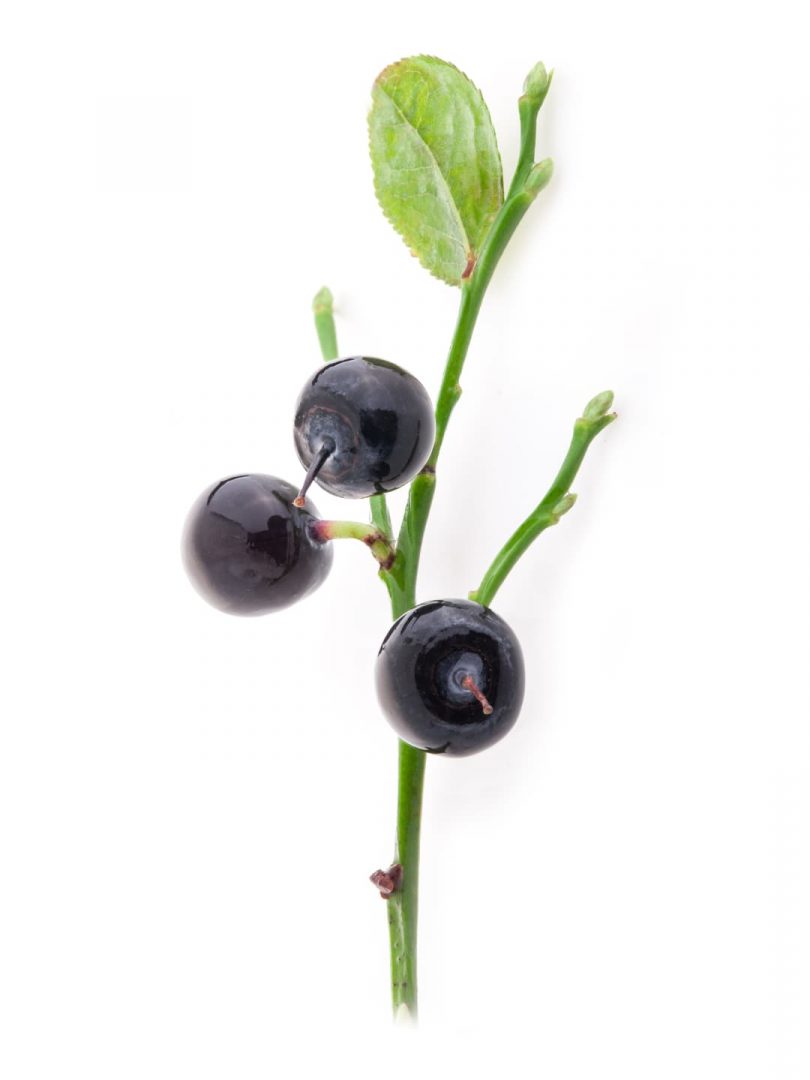 Wild Mountain Huckleberries, Frozen / lb